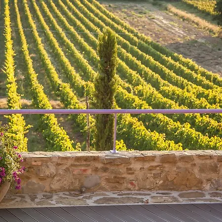 Farm stay Cilnia
