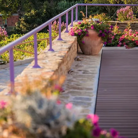 Farm stay Cilnia Arezzo