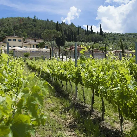Cilnia Farm stay