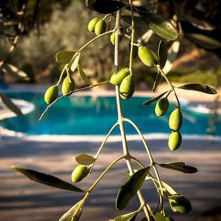 Cilnia Farm stay Arezzo
