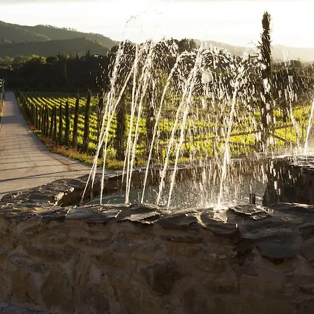 Cilnia * Arezzo