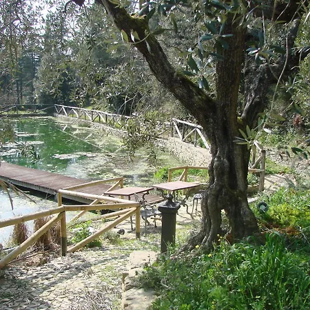 Cilnia Farm stay *