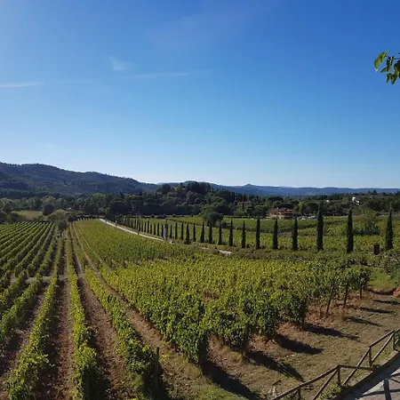 Farm stay Cilnia Arezzo